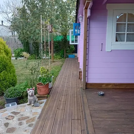 Hébergement de vacances Idilica Casa De Madera En Roche Cadix